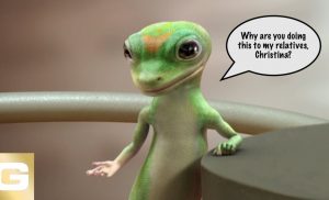 The Reality of Charity and Geckos